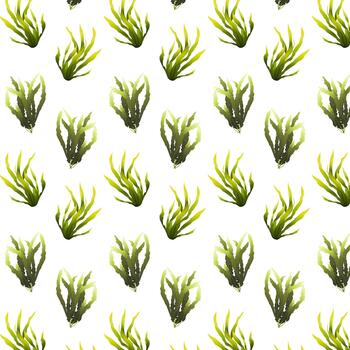 Pattern. Algae. Underwater flora in the gradient. Can be used environmental projects, promotional materials, textbooks vector