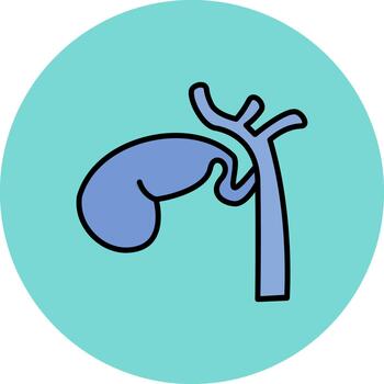 Gallbladder Creative Block Fragment vector