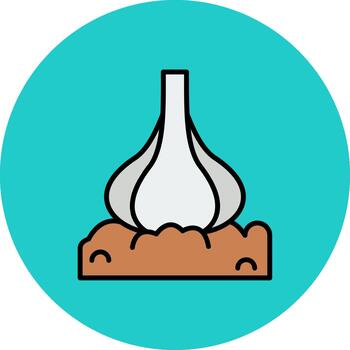 Garlic Dynamic Color Fragment vector