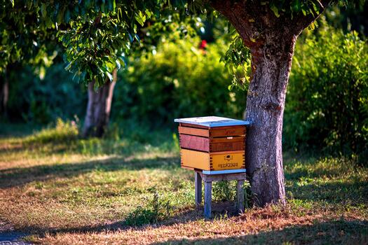 miel abeja colmena debajo árbol en un suave ensombrecido ambiente rodeado por naturaleza foto
