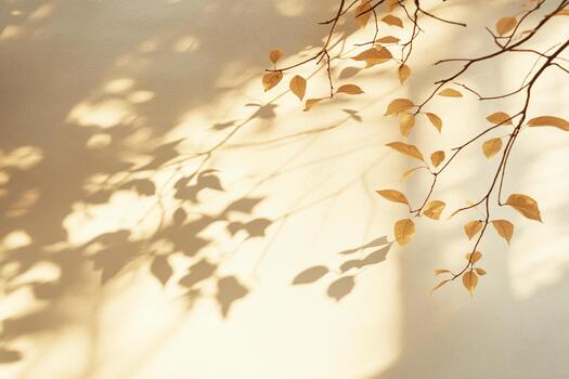 Natural sun flare and crisp leaf shadow on a warm wall display photo