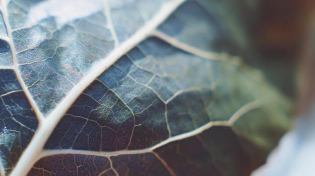 Detailed macro view of a textured leaf showcasing its natural patterns and depth photo