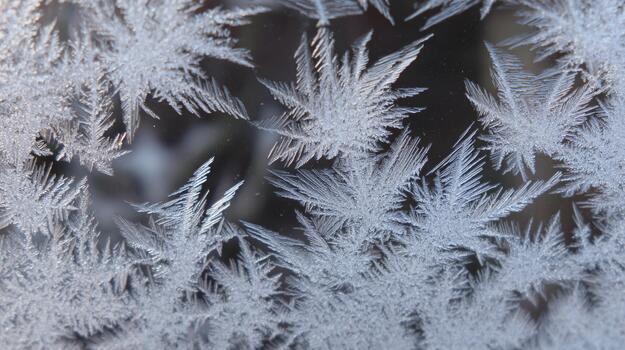 Intricate frost patterns decorating a window in winter's chill photo