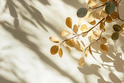 Dried branches with leaves create shadows on a light wall in a calm indoor space photo