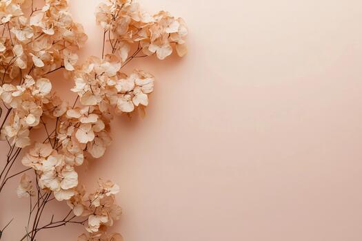 Soft beige dried flowers against a light pink background for a calming effect photo
