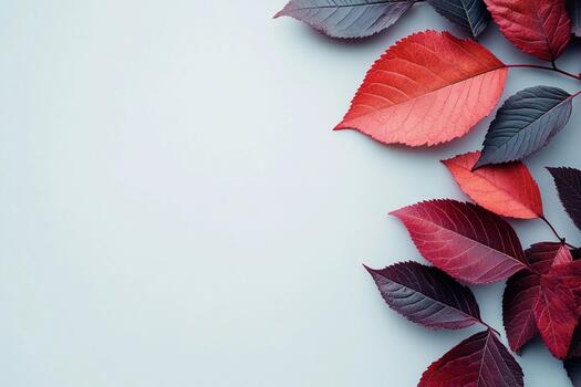 Colorful autumn leaves arranged on a light background creating a simple composition photo