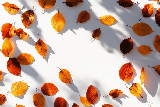 Autumn leaves scattered on a white background in soft sunlight photo