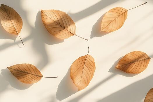 Autumn leaves scattered on a light background creating a soft shadow effect photo