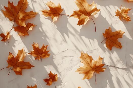 Autumn leaves scattered on a light surface with shadows in warm sunlight photo