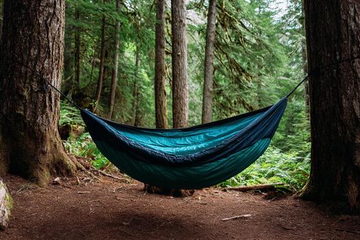 Relaxing in a hammock among tall trees in a lush forest during daytime photo