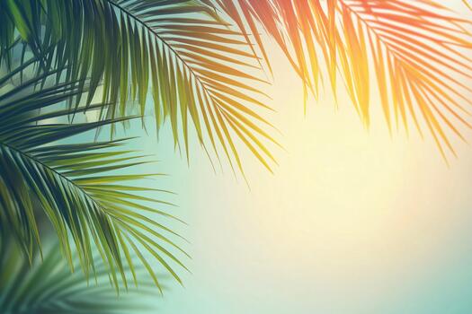 Beautiful green palm leaves against a smooth gradient background create calm vibes photo
