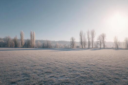 Realistic snowy landscape bathed in soft morning light with frosted trees photo