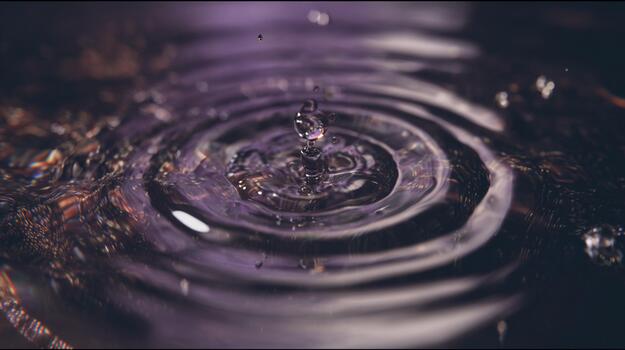 Ripples from a drop in dark water create stunning patterns during daylight photo