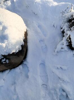 Footprints in fresh snow, leading through serene winter scene. Two large rocks frame snowy path, adding to natural beauty of cold setting. Crisp, white snow blankets ground, reflecting sunlight photo