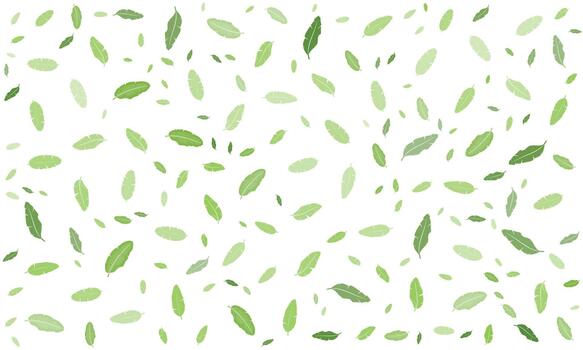 pattern Scattered banana leaves floating on a white background creating a fresh and tropical atmosphere vector