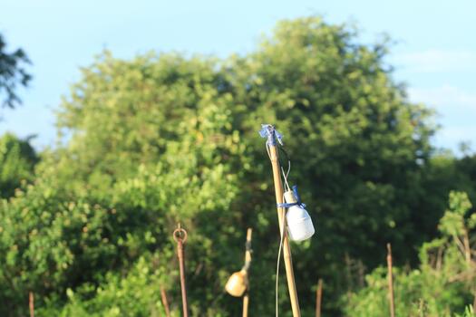 A fire hydrant in a field with trees in the background photo