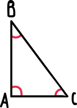 Right triangle ABC with indicated angles vector