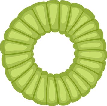 verde segmentario circular objeto formando un anillo vector