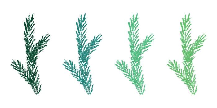 Set of hand drawn spruce branch clipart. Twig of coniferous tree doodle. Christmas and winter design element spruce branch vector