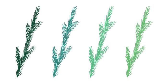 spruce branch Set of hand drawn spruce branch clipart. Twig of coniferous tree doodle. Christmas and winter design element vector