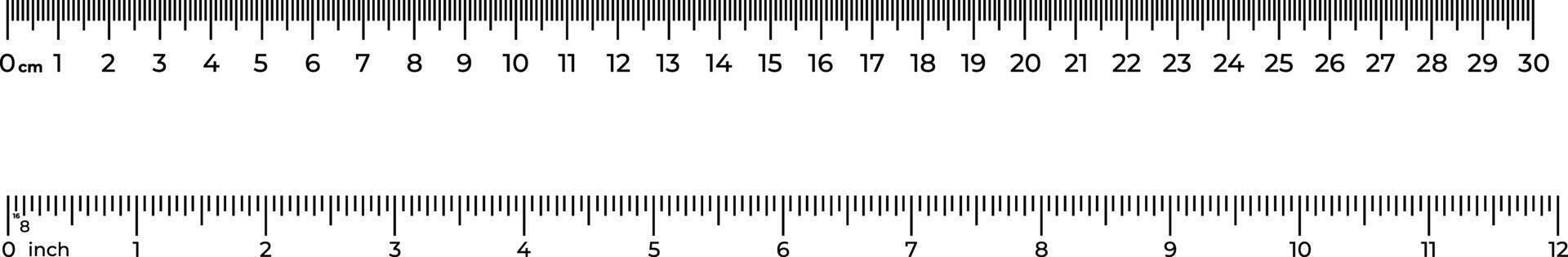 Precise ruler measuring in centimeters and inches for accurate measurements in studio vector