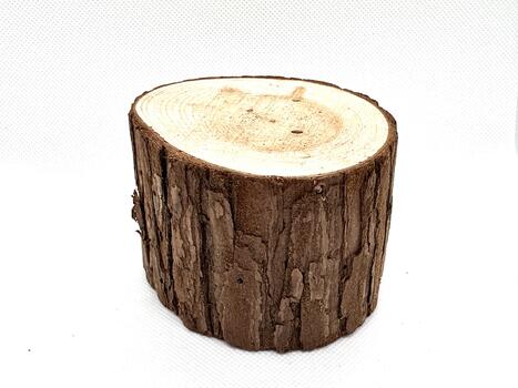 Cylindrical trunk of a tree with visible growth rings and a rough outer bark texture, isolated on a white background for creative design projects and natural themes photo