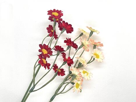 Charming arrangement of artificial red and pink daisies with yellow centers isolated on white background for decorative use or floral design projects photo