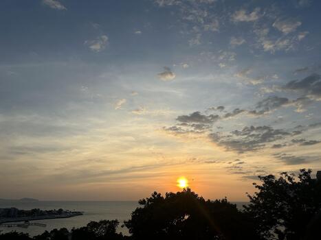 Serene Sunset Over Calm Ocean View with Silhouetted Trees and Soft Clouds Filling the Sky at Dusk in a Coastal Landscape photo