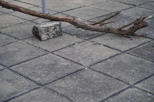 Natural elements on urban pavement, showcasing a stick resting on a stone block, highlighting the contrast between nature and human-made environments. photo