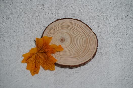 Natural wood slice with tree rings and vibrant orange maple leaf on textured surface capturing the essence of autumn and rustic decor aesthetics photo