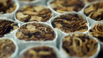 Macro view of rotating cigarettes filled with shredded tobacco moving in a circular motion on a production line video