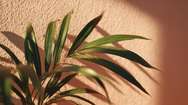 A vibrant green palm leaf casting shadows on a textured peach wall, creating a calming and serene atmosphere. photo