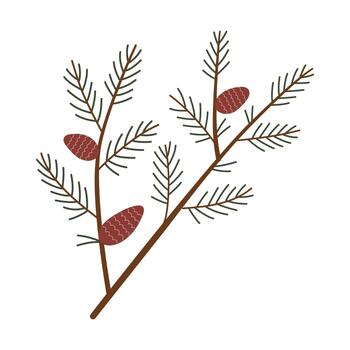 A large spruce branch with cones. element for winter design. vector