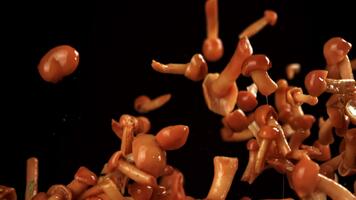 inlagd honung svamp flyga på en svart bakgrund. filmad på en hög hastighet kamera på 1000 fps. hög kvalitet full HD antal fot video