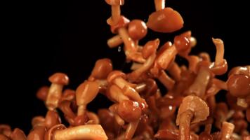 inlagd honung svamp flyga på en svart bakgrund. filmad på en hög hastighet kamera på 1000 fps. hög kvalitet full HD antal fot video