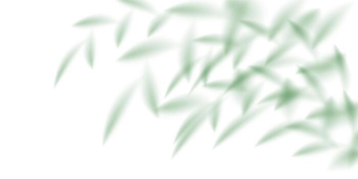 Plant leaves bamboo shadow bg, light summer transparent effect. Palm tree shade, branch texture. Sunlight on wall cast abstract folliage effect. Tropic silhouette pattern, realistic gobo vector