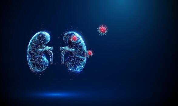 Digital kidneys and virus illustration vector