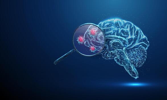 Brain illustration with magnifying glass vector