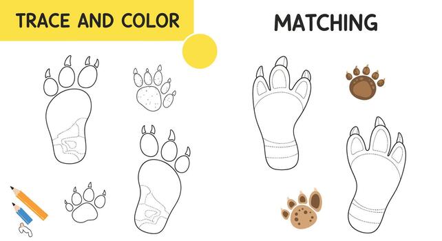 Educational Matching and Tracing Activity Paw Prints for Kids - Fun Learning Game vector