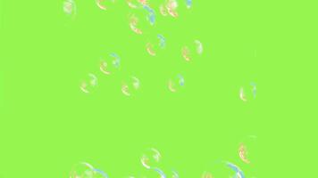 resumen pluma otoño animación en verde pantalla antecedentes bucle. video