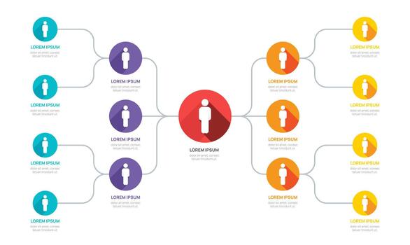 organization chart Infographic flowchart template for with business avatar icons. vector