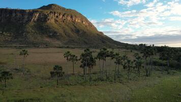 Maytrea Garden and Morro da Baleia video