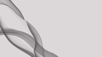 Dynamic Flowing Lines Animation on White, Modern Abstract Background video