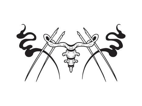 hand drawn coccyx bones illustrations vector