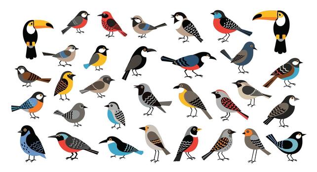 A collection of different birds on a white background vector