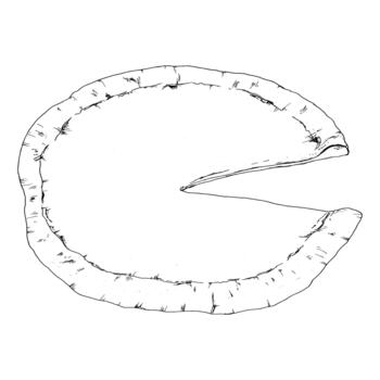 illustration of a plain pizza crust with one slice cut out. Hand-drawn outline suitable for menu layouts, culinary design, recipe graphics and editable food templates. vector