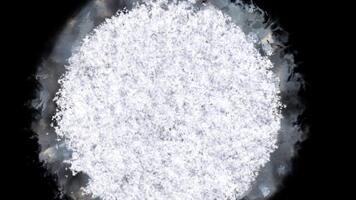 animado geada transição sobreposições com orgânico gelo cristalização efeitos a partir de meio video