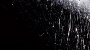 avvicinamento macro Visualizza di delicato ragno ragnatela filoni contro buio sfondo video