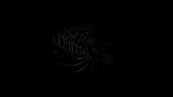 Makro Aussicht von Tau Tropfen auf Spinne Netz im dunkel Umgebung mit subtil Bewegung video