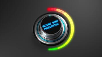 medico Consiglio dei ministri monitoraggio sistema interfaccia, clinica pannello di controllo mostrando metabolico attività indicatori, Avanzate Salute puntamento dispositivo visualizzazione chetone livelli e nutritivo informazione professionalmente video